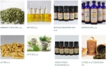 Herbes aromatiques, huiles essentielles et hydrolats